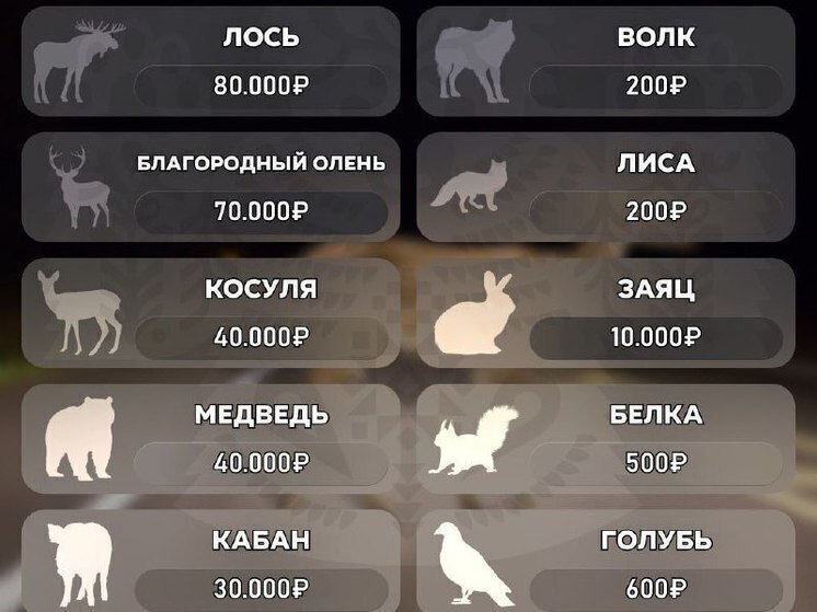 Самая дешевые - лиса и волк. Самый дорогой - лось: кого не стоит сбивать на дороге