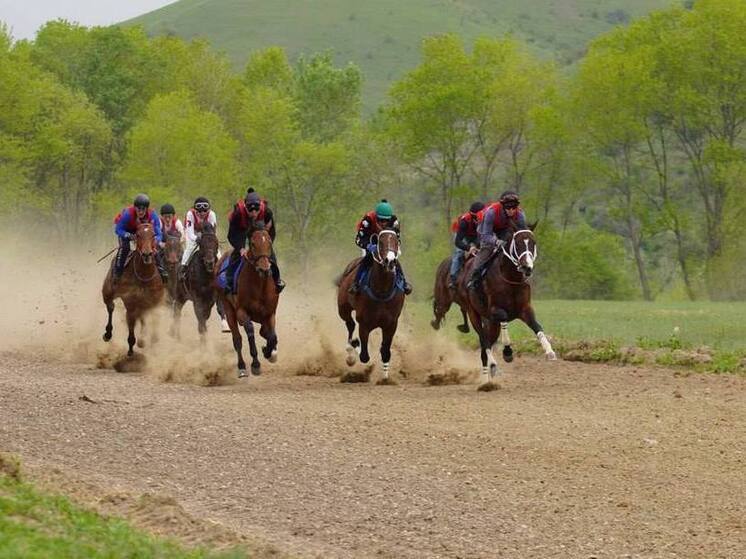 В КЧР прошли конноспортивные соревнования