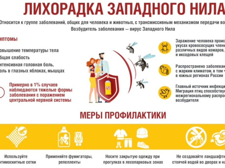 Роспотребнадзор предупреждает новосибирцев о риске заражения лихорадкой Западного Нила