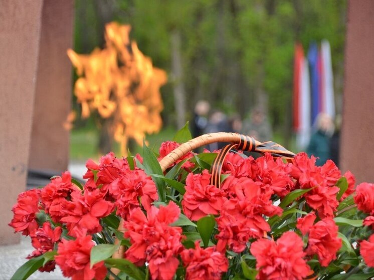 В Предгорном округе в День Победы выпустят в небо 80 белых голубей