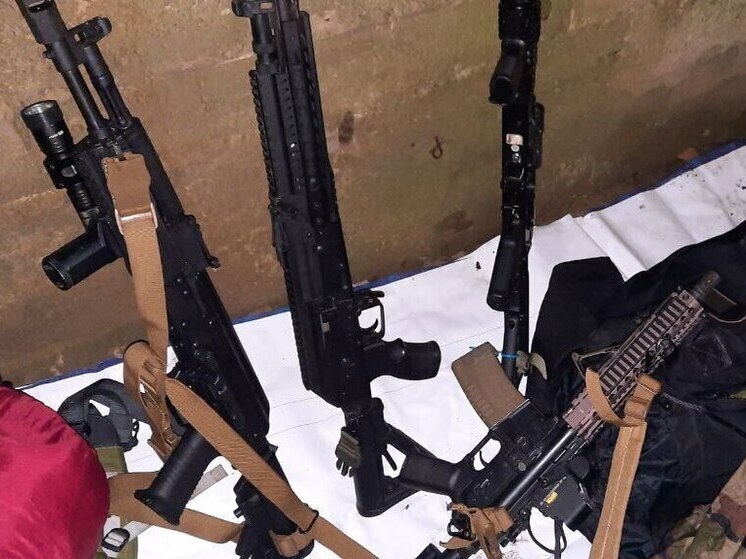 В Ломоносовском районе при обыске дома валютчика обнаружили целый арсенал оружия