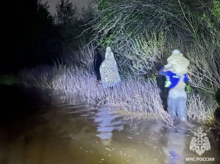 Волгоградцы с детьми застряли на острове из-за увеличения сбросов воды на ГЭС
