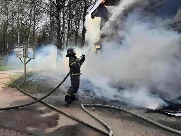 В городском парке Кировска разгорелся сильный пожар