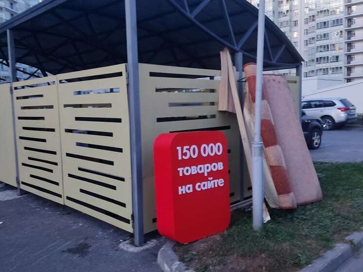 Психолог объяснила, почему россияне так часто совершают покупки на маркетплейсах