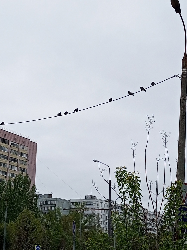 В Татарстане 4 мая потеплеет до  +20