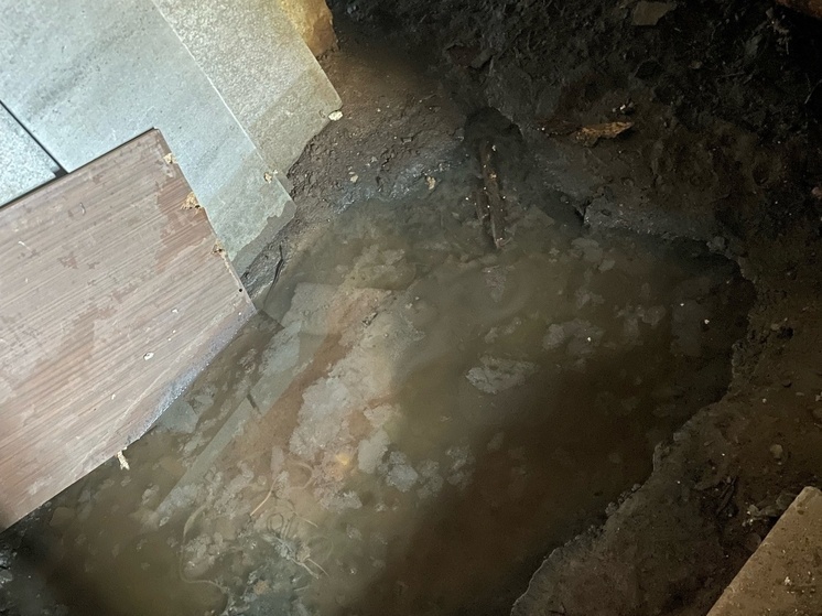 В поселке Сосново Приозерского района жителей затопило канализационными стоками. Почти неделю жильцы домов на улице Ленинградская 7 страдали от воды в подвалах, ужасного запаха и грызунов. Жалобу оставили на официальной странице губернатора Ленобласти Александра Дрозденко в социальной сети ВКонтакте.