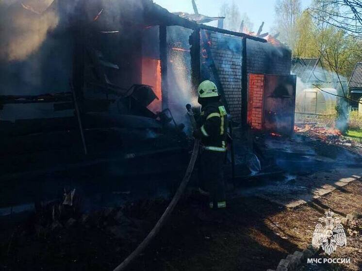 Пожарные предотвратили распространение огня в деревне Кунилово Тверской области