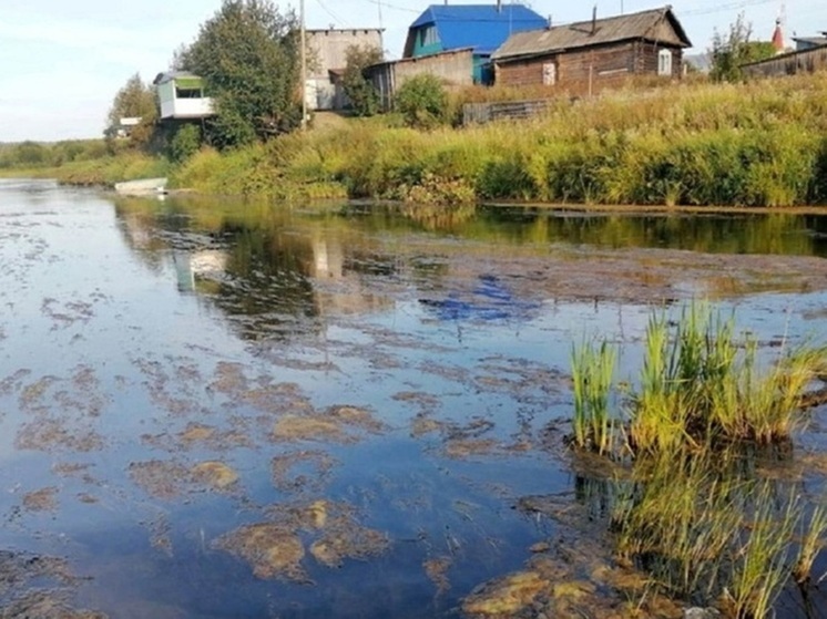 Водоем в Екатеринбурге покрылся цветными маслянистыми пятнами