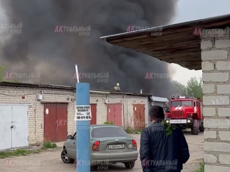 В Курске мощный пожар произошел на свалке