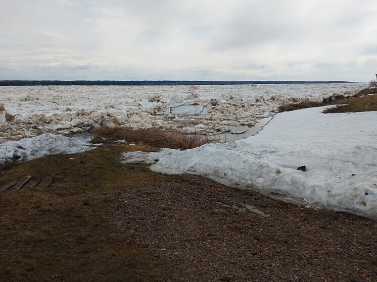 В селе Ворогово Красноярского края продолжает убывать вода