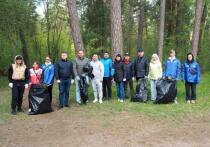 Месячник благоустройства и чистоты в Городском округе Серпухов завершился общеобластным субботником