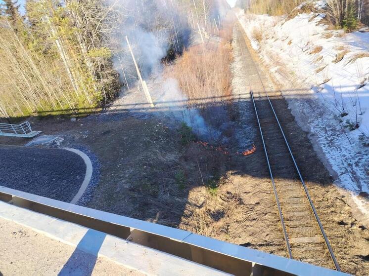 Лесной пожар в Плесецком округе ликвидировали за четыре часа