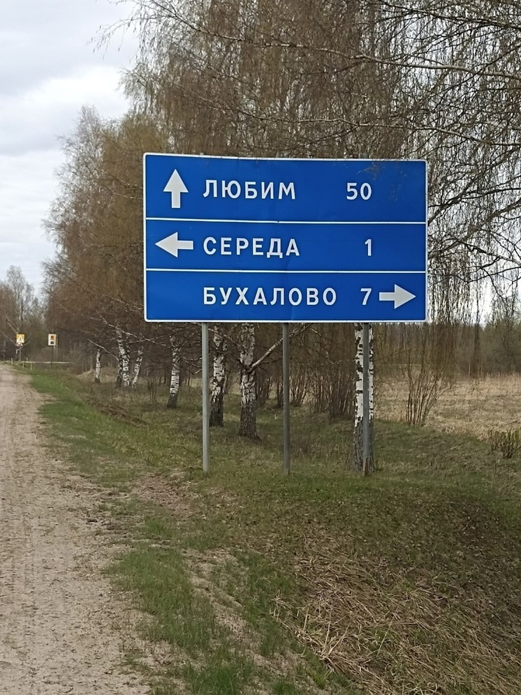 Ярославцы назвали дорогу, которая очень просит ремонта