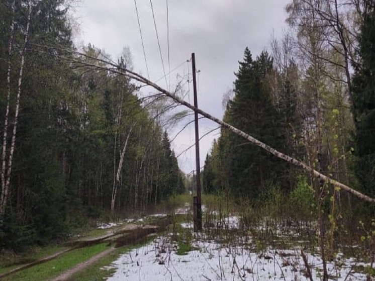 Энергетики «Ярэнерго» устранили последствия непогоды