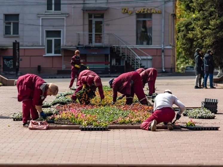 В Смоленске обустроят более 115 цветников