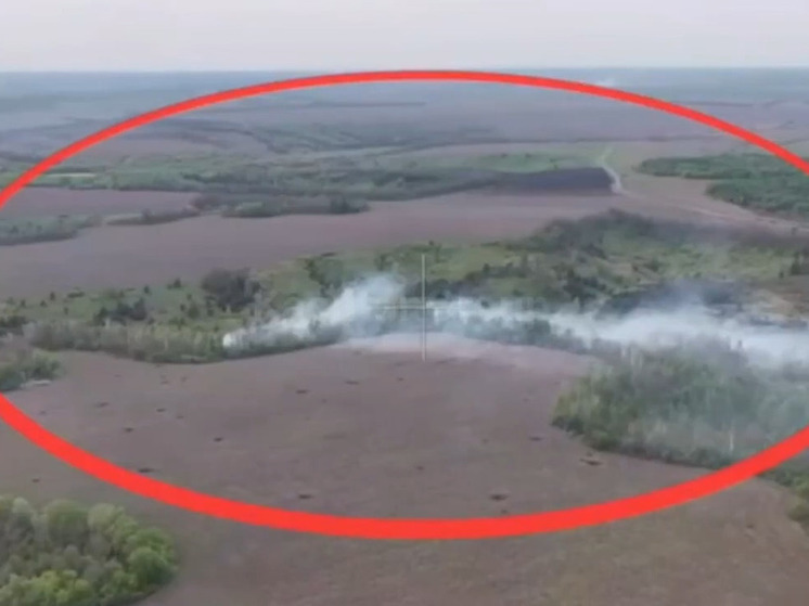 Отряд «Каштана» спецназа «Ахмат» предотвратил проникновение противника на территорию Курской области