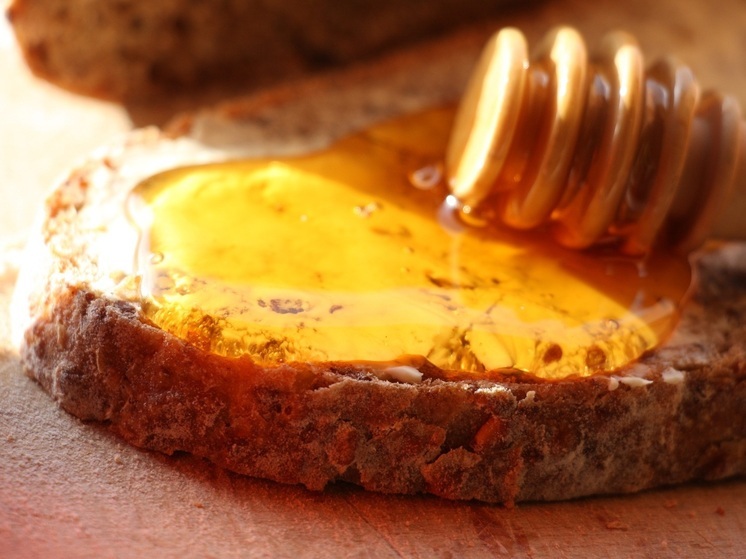 Амурский ветеран СВО стал пчеловодом благодаря господдержке