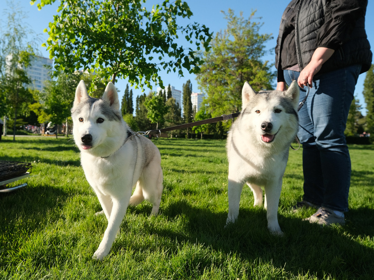 Волгоградцев предупредили о температурных перепадах до 25 градусов 4 мая
