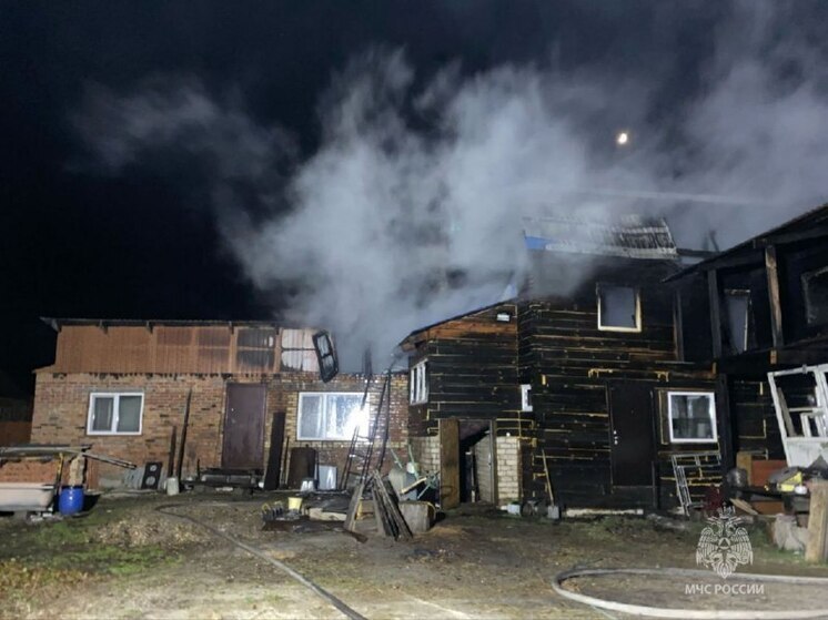 В Приамурье огонь уничтожил половину от частного подворья