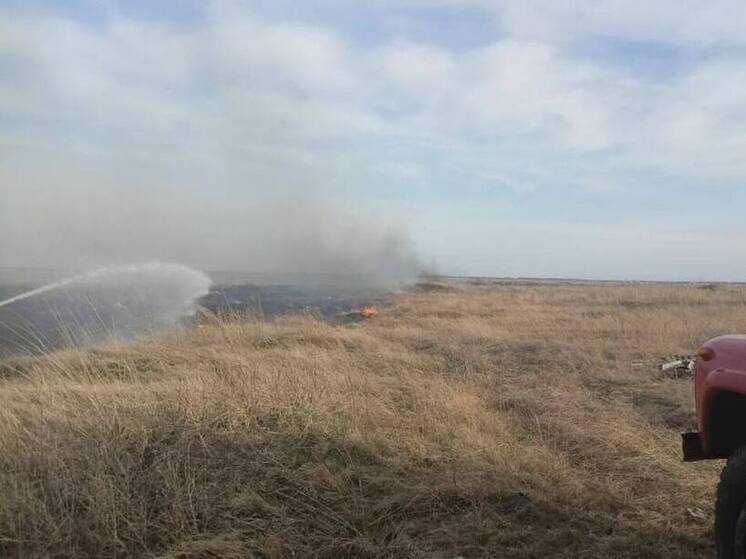 В Алтайском крае за одни сутки зафиксировали 37 возгораний сухой травы