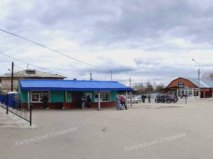 На двух калужских подростков завели уголовное дело