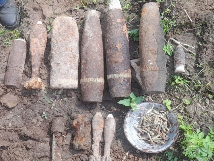 У калужской деревни нашли схрон боеприпасов