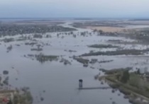 Уровень воды в реке Ишим в черте одноименного российского города, уже превысивший отметку "опасное явление" накануне, вырос еще на 50 сантиметров за сутки, сообщил геопортал региона
