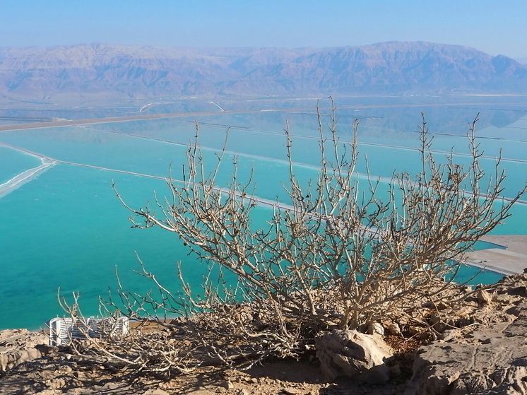 Помогла природа: Ученые научно обосновали библейское чудо Христа с рыбой