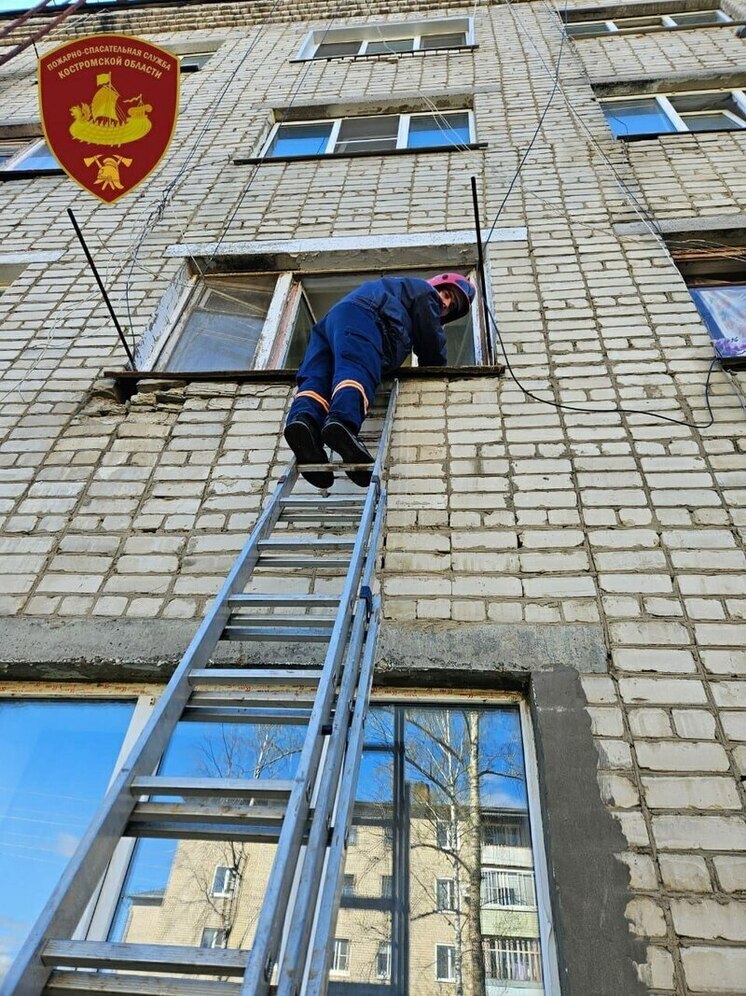 Двух мертвецов обнаружили за закрытыми дверями костромские спасатели