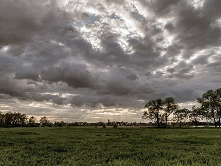 Калужскую область ждут гроза и дождь