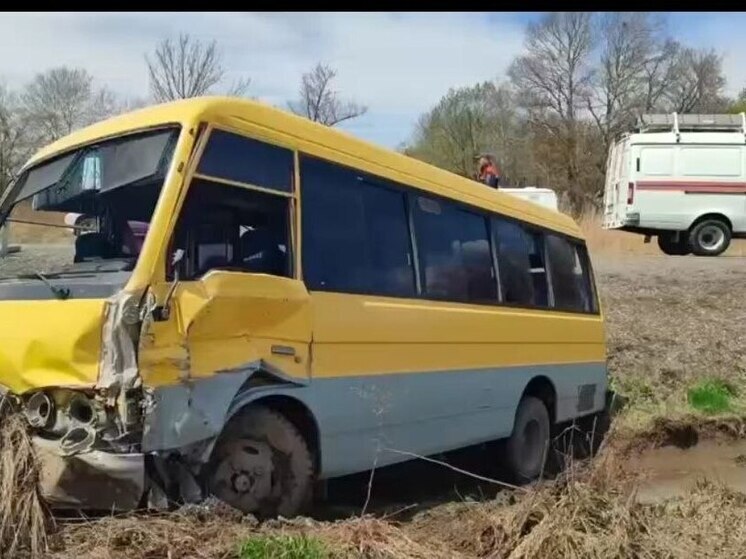 Автобус с пассажирами вылетел в кювет под Спасском в Приморье