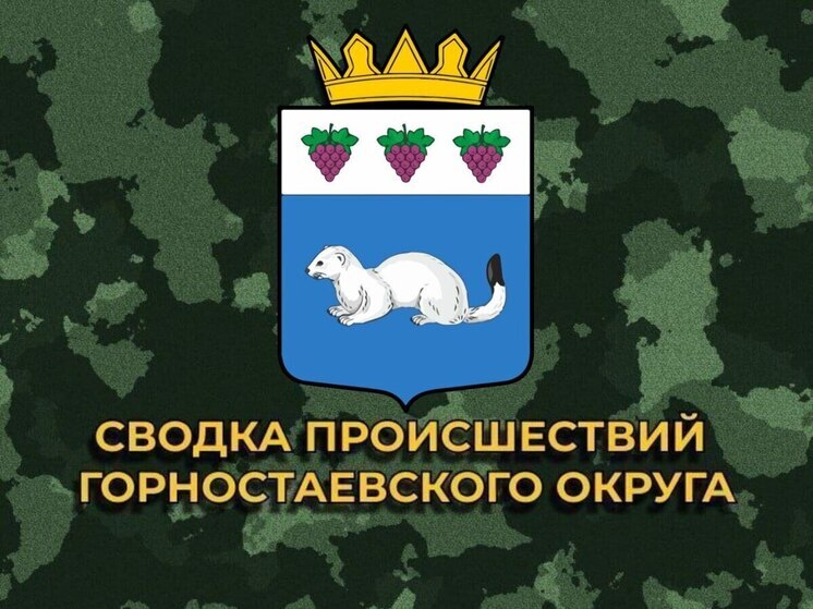 За сутки ВСУ 10 раз обстреляли Горностаевский округ Херсонской области