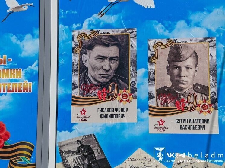 Белгородцы могут бесплатно оформить фото для акции «Окна Победы»