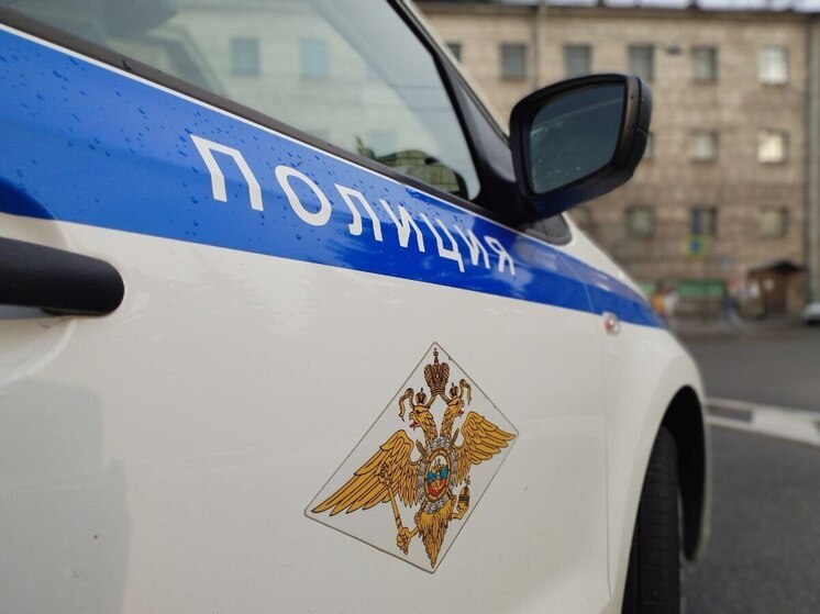 В Петербурге на Владимировском проспекте полицейские разнимали толпу драчунов