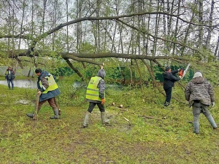 В Лобне продолжают устранять аварию на электросетях после непогоды