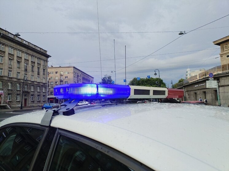 Женщина за рулем «Мерседеса» наехала на гостя из Сирии на тротуаре на Рубинштейна