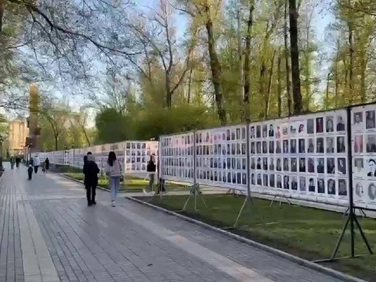 «Стена памяти» в абаканских парках может попасть в «Книгу рекордов России»