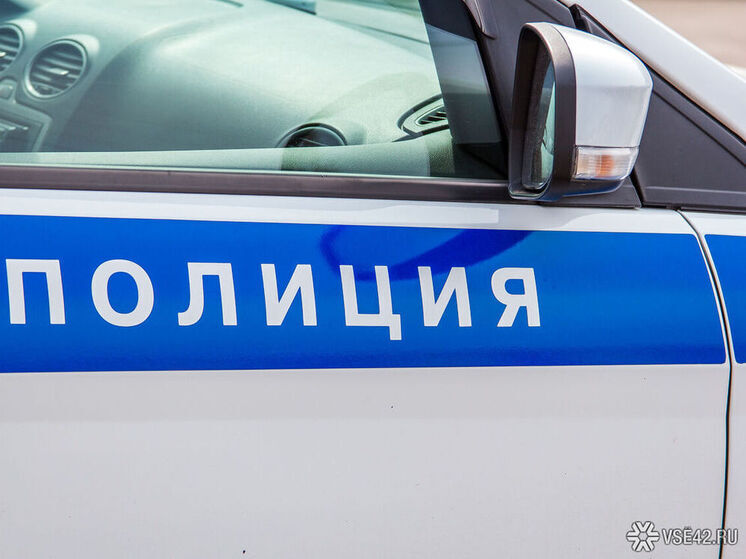 Новокузнецкая полиция расследует случай травмирования ребенка от удара лошади