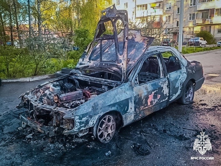 В Смоленске на Соболева сгорел автомобиль