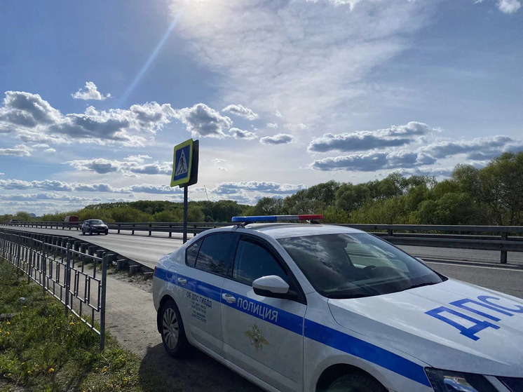 Мост в Клепиковском районе рухнул под КамАЗом