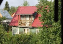 Собственников дачных участков будут штрафовать за неухоженную землю и нарушения правил пожарной безопасности. Подробнее о наказании рублем для дачников «МК в Питере» рассказала кандидат юридических наук, доцент Финансового университета при Правительстве РФ Оксана Васильева.