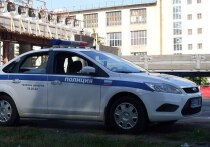 Сотрудники правоохранительных органов России вывезли из "частного музея", расположенного в станице Еланской Ростовской области, две скульптуры атаману-коллаборационисту Петру Краснову, который примкнул к нацистской Германии в годы Великой Отечественной войны