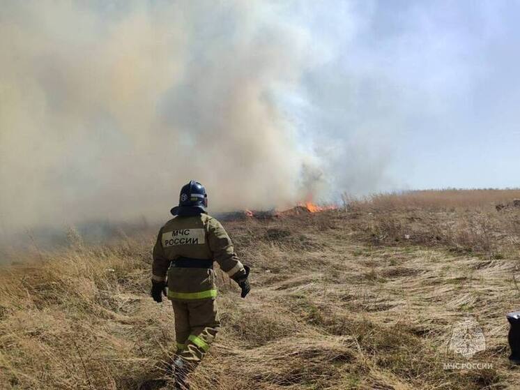 В Алтайском крае чуть более чем за полдня зафиксировали 27 пожаров