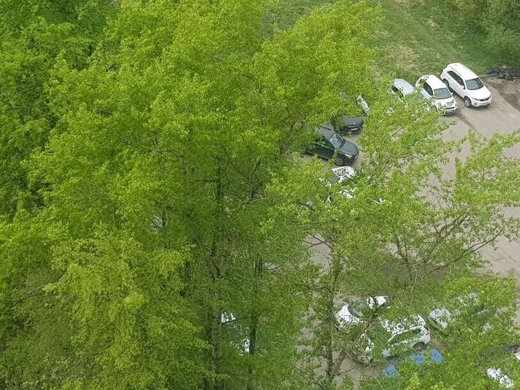 Минтранс призывает водителей не парковать сегодня машины под деревьями