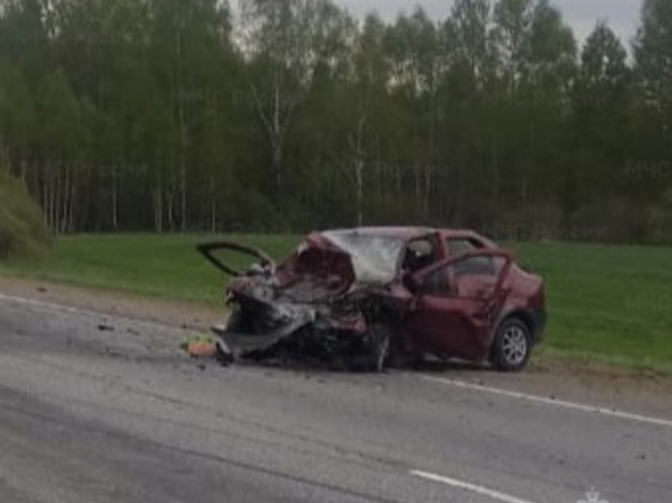 Несколько человек пострадали в ДТП в Мещовском районе