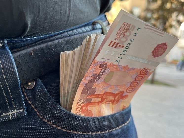 Глава Петровского района рассказал, сколько заработал за год