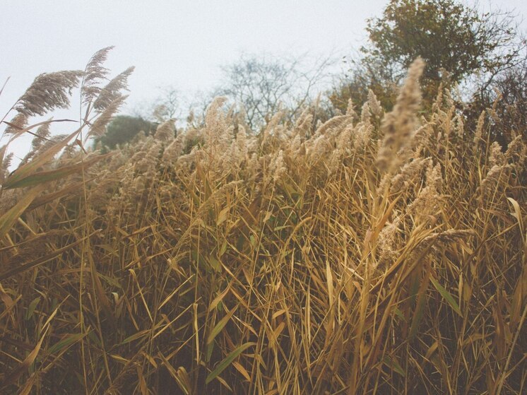 Непогода обрушится на Хакасию в ночь на 5 мая — возможны ЧС