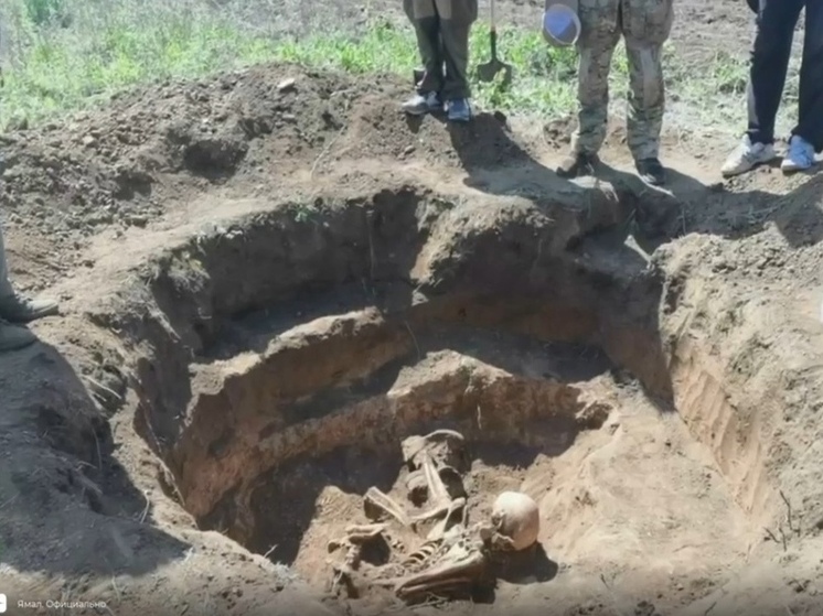 Поисковики из ЯНАО нашли останки 12 солдат в Волгоградской области