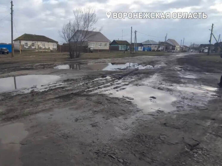 Более 200 семей воронежского села Пески оказались отрезаны из-за разбитой дороги