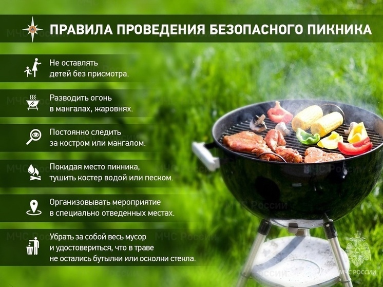 Пензенцам напомнили о правилах пожарной безопасности при выезде на пикник